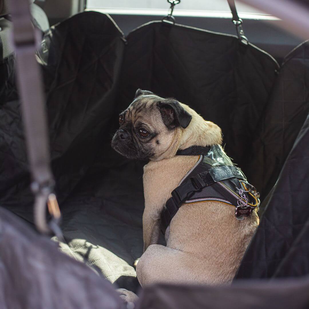 MAVORNE RoadGuard Dog Car Seat Cover 3