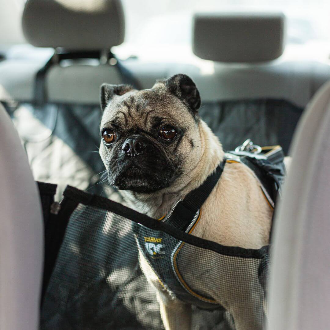 MAVORNE RoadGuard Dog Car Seat Cover 6