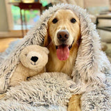 MAVORNE CalmFleece Pet Blanket 1