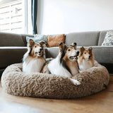 MAVORNE CalmCloud XL Orthopedic Dog Bed 4