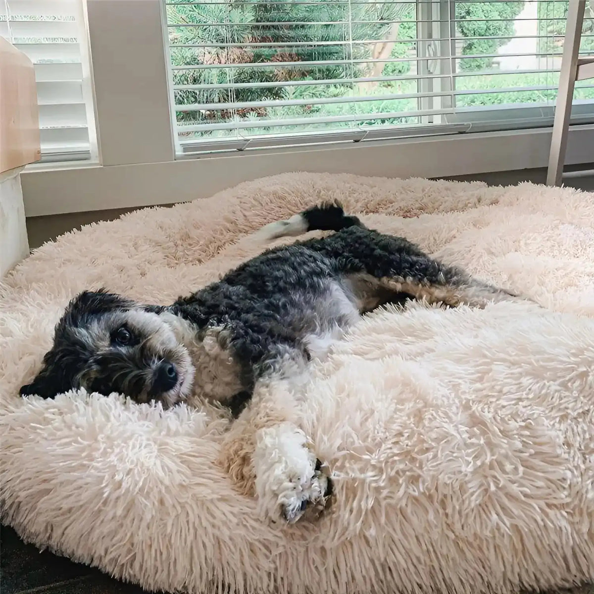 MAVORNE CalmCloud Anti-Anxiety Dog Bed 1