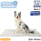 MAVORNE PfotenChill Cooling Mat 1
