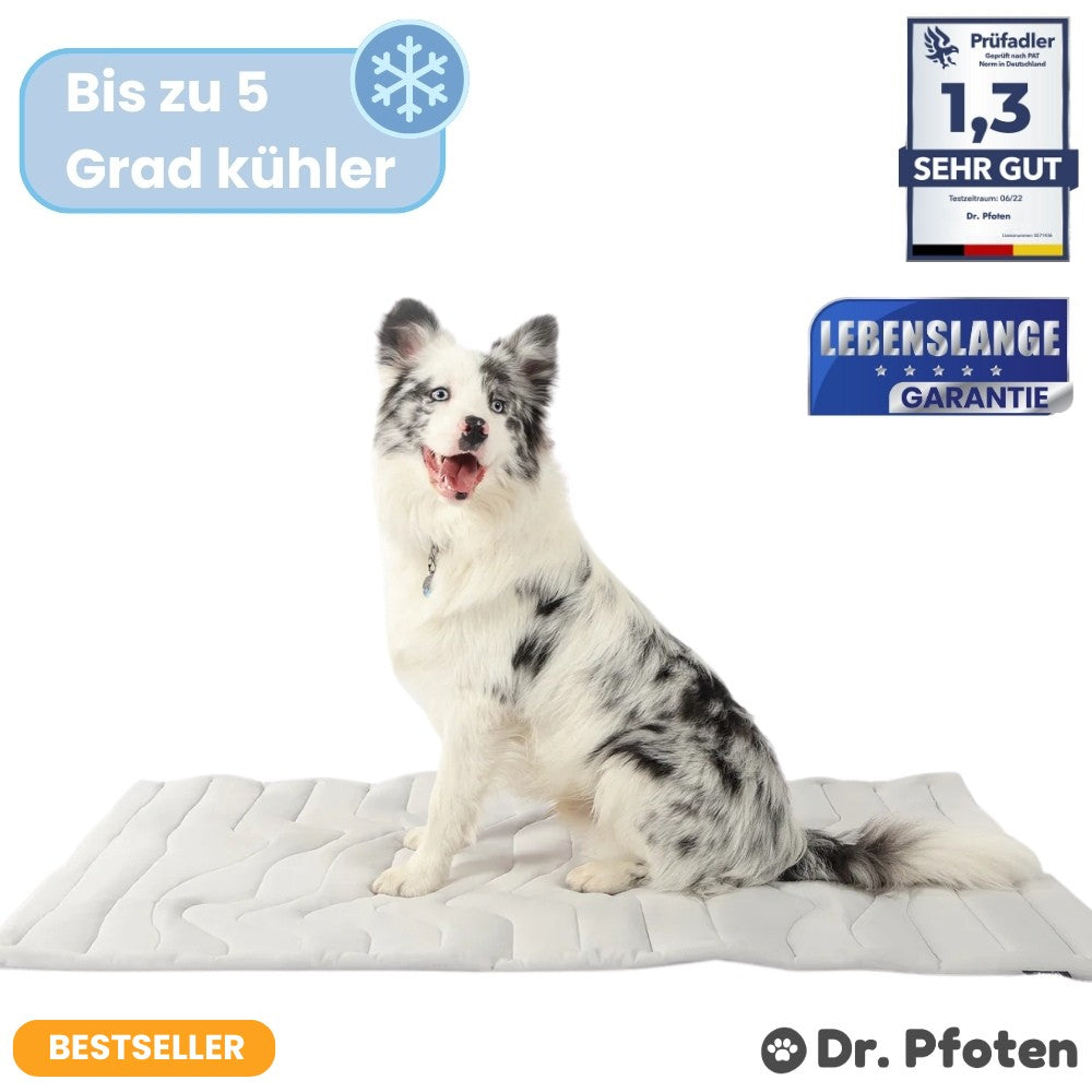 MAVORNE PfotenChill Cooling Mat 1