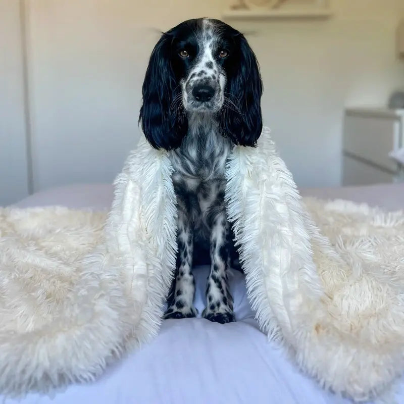 MAVORNE CalmFleece Pet Blanket 4