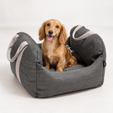 Small dachshund sitting in the MAVORNE ErsteKlasse elevated dog car seat