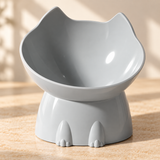 Mavorne Elevated Tilted Cat Bowl
